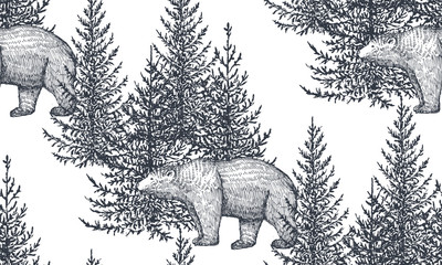 Vector seamless pattern with hand drawn bears and trees.