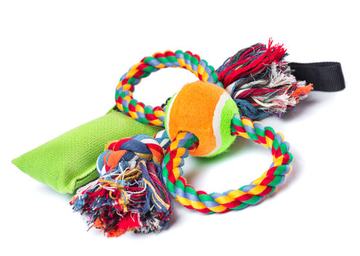 Dog toy - colorful cotton rope for games, isolated on white background with copy space