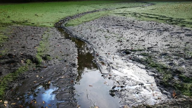 Contaminated empty pond with oil and mud. No camera movement.