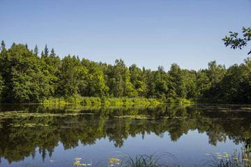 Fototapeta premium traveling on the summer's day