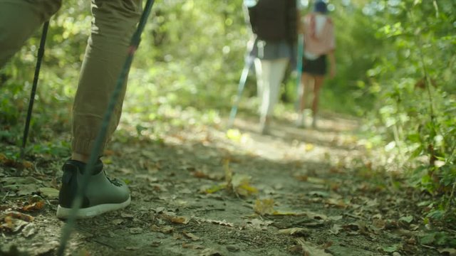 Group of hikers with backpacks and sticks walking in the forest