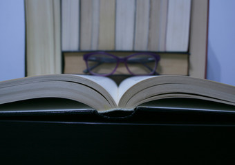 PASSION FOR LITERATURE