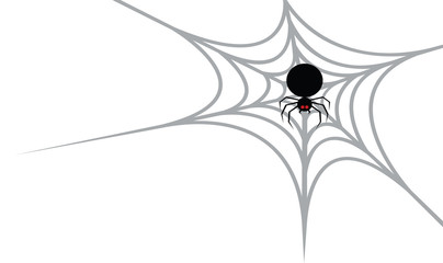 Black spider on the spider web 