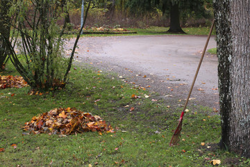Leaf raking in autumn