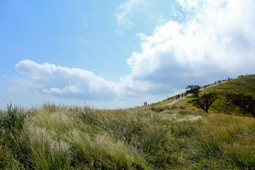 Fototapeta premium 大室山ハイキング