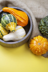 Various Gourds on Yellow
