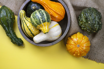Various Gourds on Yellow