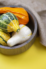 Various Gourds in a Wooden Bowl