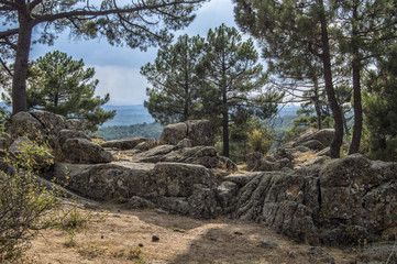 Rocas y pinos/  Pinos entre rocas en un bosque de las Navas del Marques, provincia de  Avila. Castilla León España.