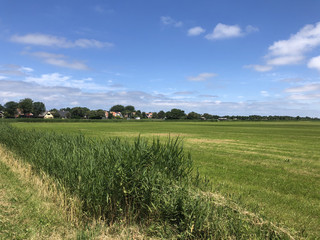 Farmland on Schiermonnikoog