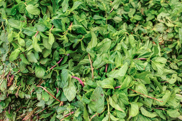 Purple asian basil leaves displayed on food market. Kyrenia, Cyprus