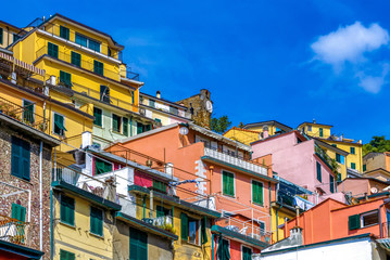 Fototapeta na wymiar Colorful houses in Riomaggiore village Italy
