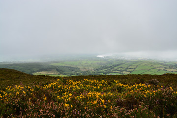 Tountinna, Ireland Vista 4
