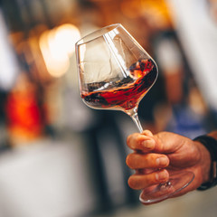Red Wine Glass - Hand Front View