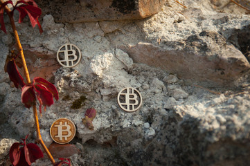 Bit Coin on old brick wall
