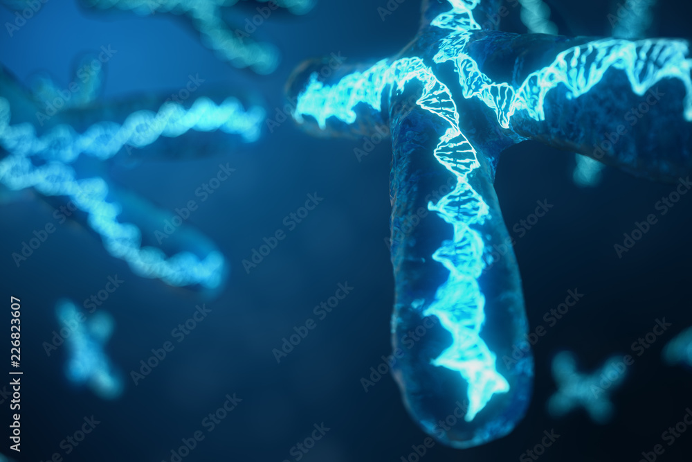 Wall mural 3d illustration x-chromosomes with dna carrying the genetic code. genetics concept, medicine concept