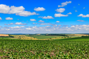 Summer landscape with green fields, hills and blue sky
