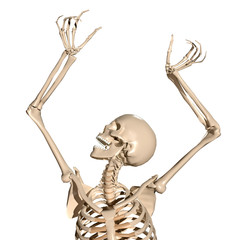 Spooky 3d human skeleton screaming