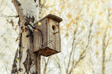 Nest box close up on blurred background. Wooden birdhouse on tree in birch forest.