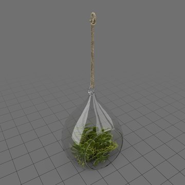 Hanging terrarium with plant