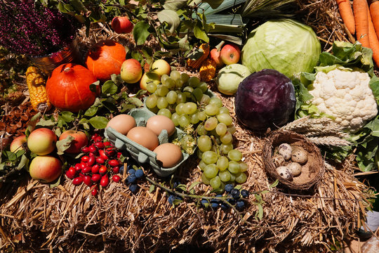 Gesundes Obst und Gem&uuml;se frisch geerntet