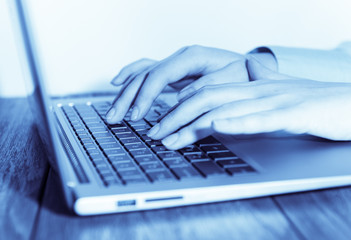 Fototapeta premium Human hands working on laptop