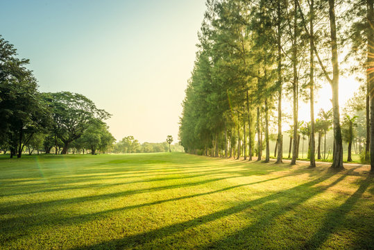 Scenery green golf and meadow with sunbeam in morning, Wonderful sunbeam at the natural park, Scenery fairway with trees and green grass field