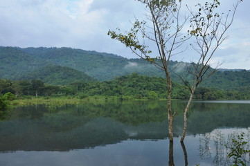 landscape of tree and reflection on water surface in lake with mountain background