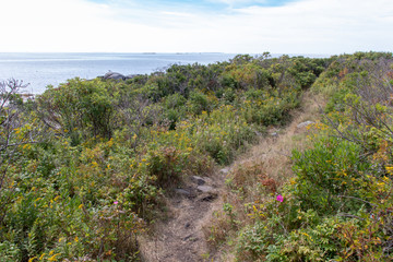 Fototapeta na wymiar Hiking trail with a view off the coast of Maine.