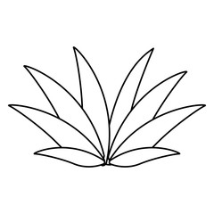 Leaves nature cartoon