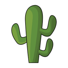 Cactus plant cartoon