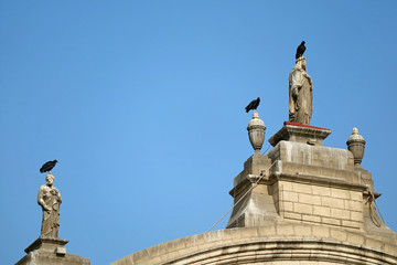 Condors Relaxing on the Top of Gorgeous Sculptures of the Vintage Building, Plaza de Mayor in Lima, Peru 