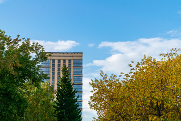 Building for the trees