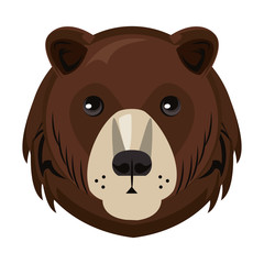 Bear face cool sketch