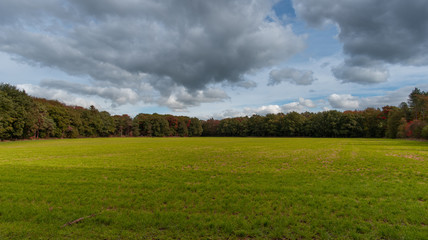 green field and blue sky