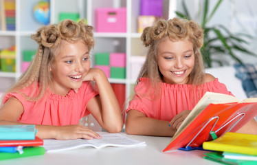 Fototapeta na wymiar Portrait of two adorable twin sisters doing homework together