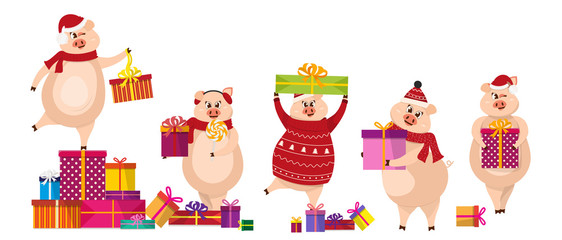 Set of funny pigs with gifts. Christmas pig cartoon vector illustration. 2019 New Year Chinese symbol. Pig carry gifts and put them in a pile