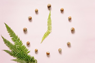 Fototapeta na wymiar Dial formed from hazelnut and fern leaves on a pink background. Morning 7 o'clock. Concept, Clock, early morning