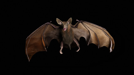 Blood thirsty vampire bat swooping in from the darkness. 3d rendering - obrazy, fototapety, plakaty
