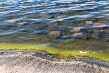 Shoreline in the archipelago with stones and seaweed