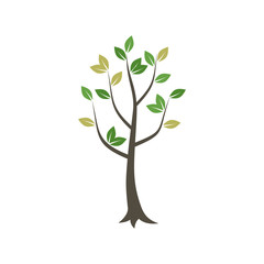 Tree wood7