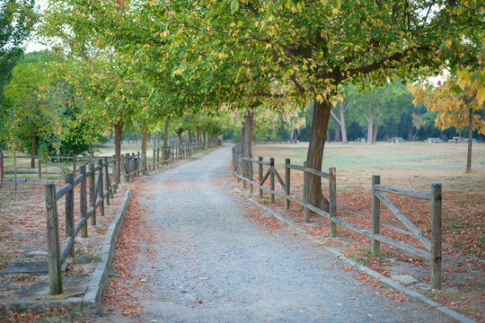 parque publico enfocado en primer plano .