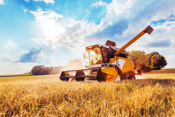 Combine harvesters Agricultural machinery. The machine for harvesting grain crops.