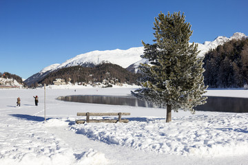 Lake of St. Moritz is frozen in winter, St. Moritz, Graubinden, Switzerland