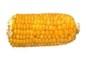 corn isolated on white background