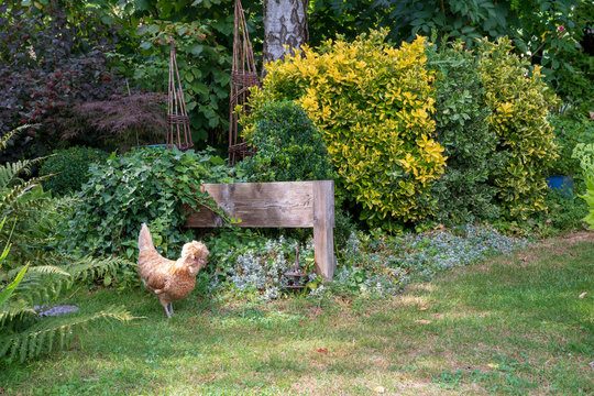 Jardin remarquable l'Escalier &agrave; Brumath, &eacute;t&eacute; 2018