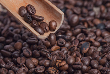 Coffee grains are poured from a wooden owl on the table.