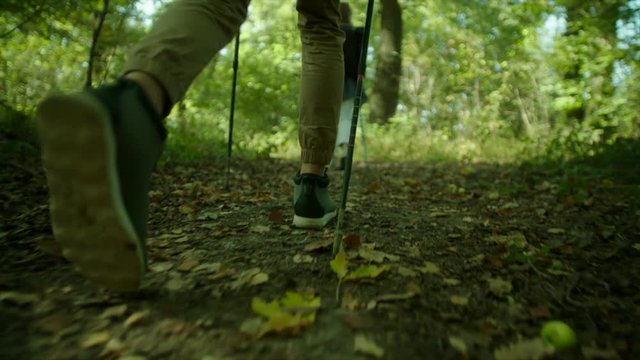 Group of hikers with backpacks and sticks walking in the forest
