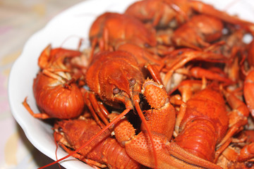 Boiled crayfish on a plate