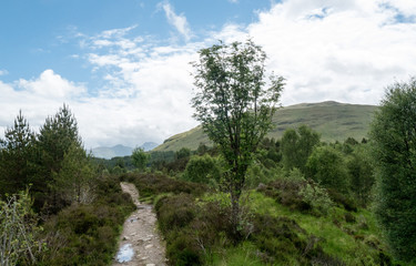 Fototapeta na wymiar Highlands